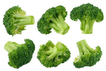 Broccoli isolated on white background, full depth of field