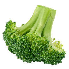Broccoli isolated on white background, full depth of field