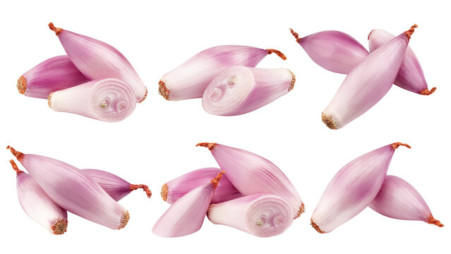onion, shallot, isolated on white background, full depth of field