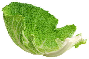 Leaf, savoy cabbage, isolated on white background, full depth of field