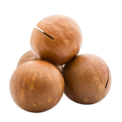 macadamia, nut, isolated on white background, full depth of field
