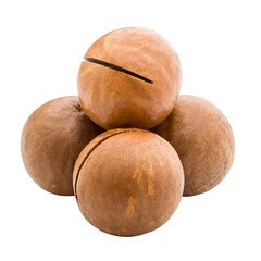 macadamia, nut, isolated on white background, full depth of field
