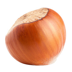 hazelnut isolated on white background, full depth of field