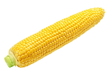 corn ear, isolated on white background, full depth of field