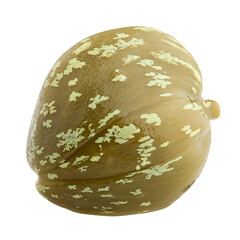 caper isolated on white background, full depth of field