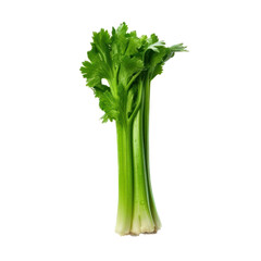 Nutritious Celery Vegetable