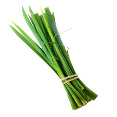 Obraz premium Cymbopogon isolated on white background