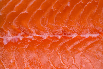 Fresh raw salmon red fish fillet with salt and spices