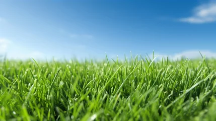 Foto op Plexiglas Illustration close up of a lush green grass lawn field against a blue summer’s sky. A.I. generated. © JPDC