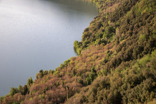 Met&agrave; acqua, met&agrave; erba