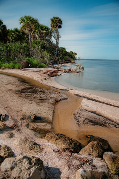 Tropical island isolated on beautiful coastline with palm trees and water.