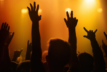 Orange lights, hands of people at concert or music festival dancing with energy in silhouette at live event. Dance, fun and group of excited fans in arena at rock band performance or crowd at party.