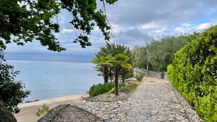 Road along mediterranean sea with palm tree