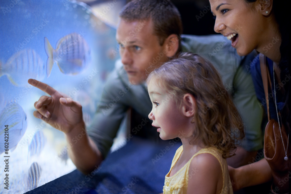 Wall mural family, aquarium and girl looking at fish for learning, curiosity and knowledge, education and bondi