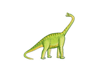 Sauropoda watercolour illustration for kids. Digital art. Transparent background.