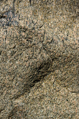 photo texture of a huge stone, boulder in the park 6