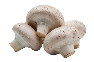 Natural white mushrooms on a transparent isolated background, lying in a row in different directions. Horizontal. PNG. For text. Photo in high quality