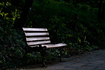 A bench in the dark on a forest path illuminated by the last rays of the sun. Adobe RGB color profile.