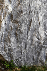 Black and white rock standing upright on the ground with green grass as a background