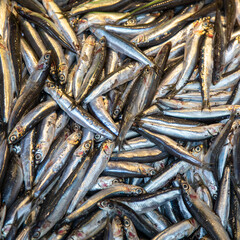 Obraz premium Fish on market stall