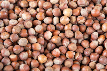 Background of hazlenuts