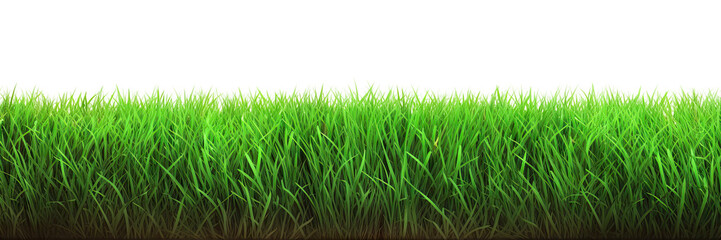 A grass isolated on transparent background - Generative AI