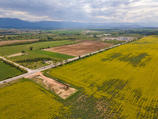 Blooming rapeseed field near village of Kostievo, Bulgaria