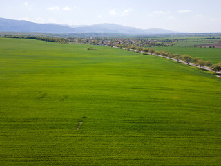 Fototapeta na wymiar Upper Thracian Plain near town of Asenovgrad, Bulgaria