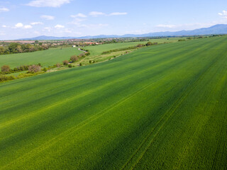 Upper Thracian Plain near town of Asenovgrad, Bulgaria