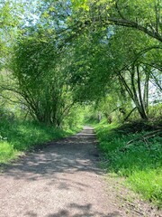 Promenade dans les chemins autour du village de Limbourg - Province de Liège - Wallonie - Belgique - Europe