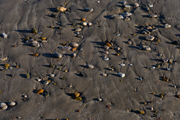 Texture formed by the upper view of beach sand with several stones.