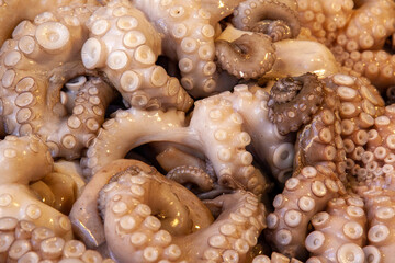 Octopus tentacles pattern