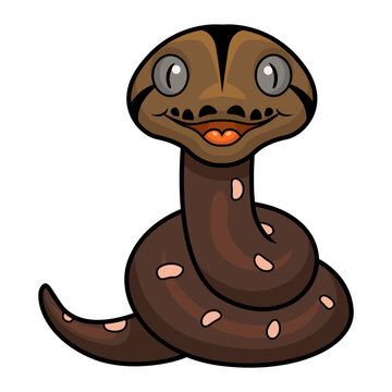 Cute golden child phantom reticulatus python cartoon