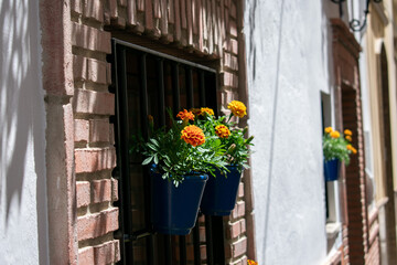 Iznajar de Córdoba, Spain. Houses adorned with vibrant plants as decoration. Streets filled with houses featuring abundant plant decorations.
