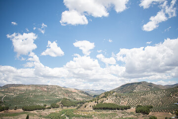 Landscape with mountains full of olive trees and a clear sky. Typical landscape of the Spanish coasts. Typical Spanish landscape.