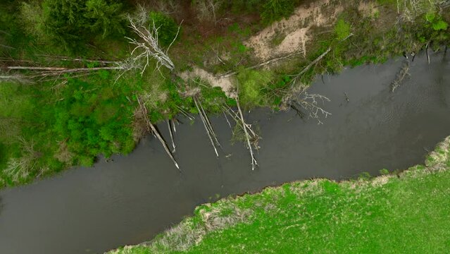 Top view of small river Lyna flowing in Warmia, northern Poland, Europe