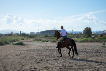 Spanish man in a white shirt riding a horse on the beach. Man with a horse on the beach. A boy riding a galloping mare on the sand. Spanish horse rider enjoying a horseback ride under a clear sky.