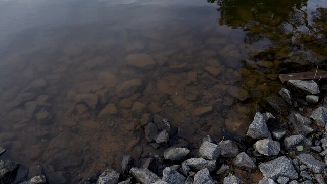footage of a gorgeous spring landscape at Proctor Landing Park at sunset with rippling water surrounded by lush green trees and plants and at Lake Acworth in Acworth Georgia USA