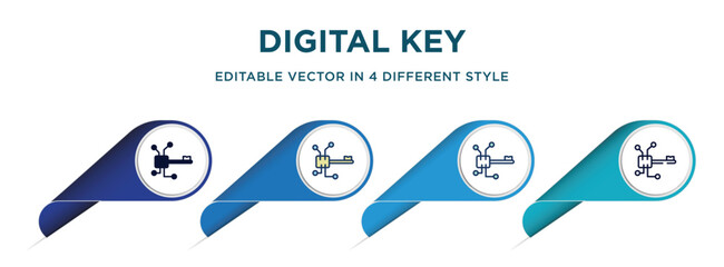 digital key icon in 4 different styles such as filled, color, glyph, colorful, lineal color. set of vector for web, mobile, ui