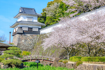 春の大村公園　長崎県大村市　Omura Park in spring. Nagasaki Pref, Oomura city.
