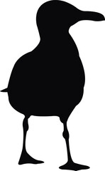 a seagull body silhouette vector