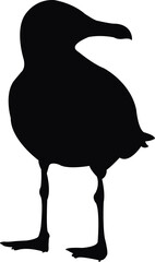 a seagull body silhouette vector