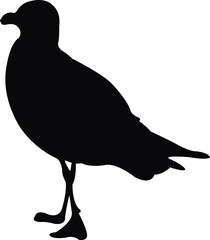 a seagull body silhouette vector