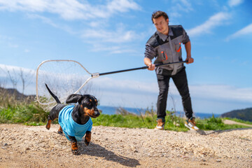  Dog catching service. Puppy in clothes runs away from man with iron sap in his hands, escapes....