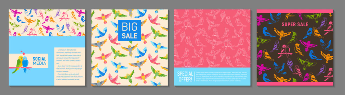 Parrot tropical trendy cover or square card cartoon design set. Summer bright exotic bird pattern page flyer, notebook planner. Brochure social media decorative Hawaiian natural page vector background
