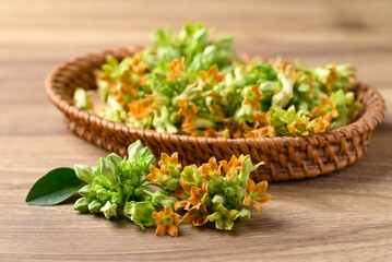 Thai edible flowers (cowslip creeper, Tonkin jasmine or Pakalana vine) from organic local farmers...