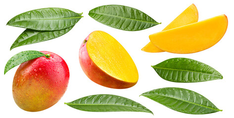 Mango isolated on white background