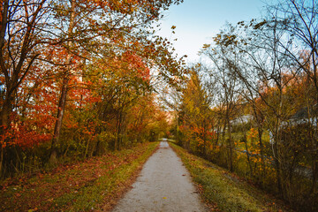 Autumn leaves along the Morgantown Rail Trail, West Virginia