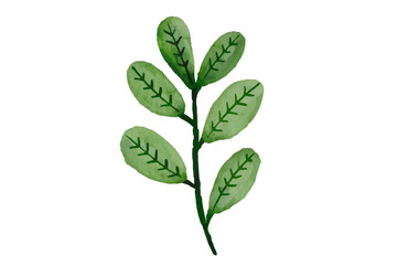 Botanical Watercolor Illustration, watercolor, illustration, leaf, botanical, nature, spring, design, summer, flower, floral, drawing, decoration, plant, art, green, branch, vintage, bouquet, leaves, 