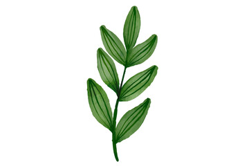 Botanical Watercolor Illustration, watercolor, illustration, leaf, botanical, nature, spring, design, summer, flower, floral, drawing, decoration, plant, art, green, branch, vintage, bouquet, leaves, 